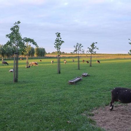 De Nachtdijk Acomodação com café da manhã Wijk bij Duurstede Exterior foto
